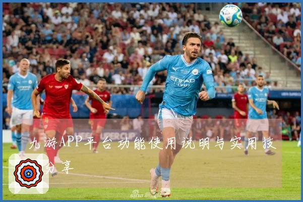 九游APP平台功能使用说明与实用技巧分享