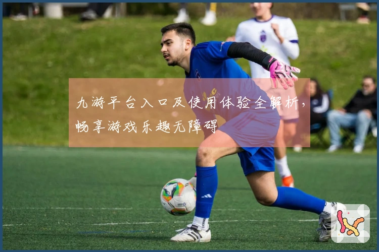 九游平台入口及使用体验全解析，畅享游戏乐趣无障碍